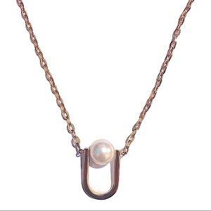 Long Gold Tone & Faux Pearl Necklace